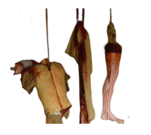 Membres découpés - Location décoration événementielle
