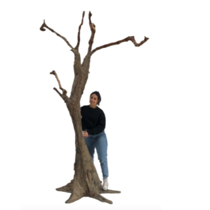 Arbre sans vie - location décoration événementielle