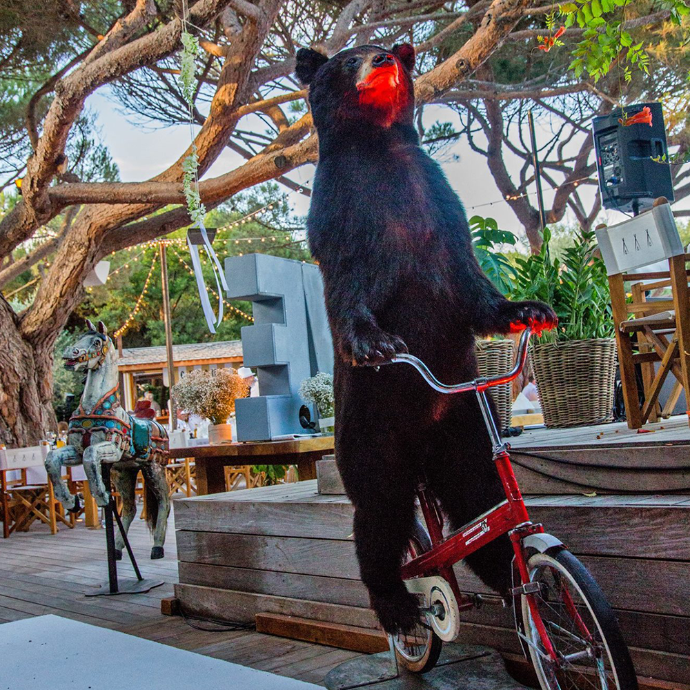 ours sur son vélo