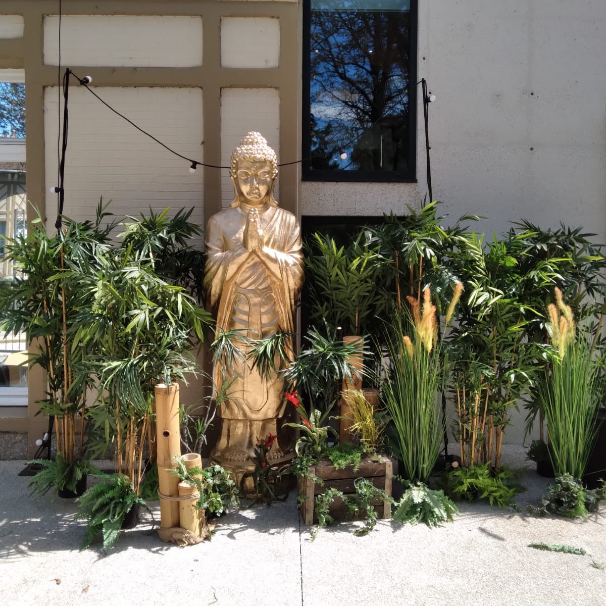 Location bambous - Décoration événementielle thème Asie