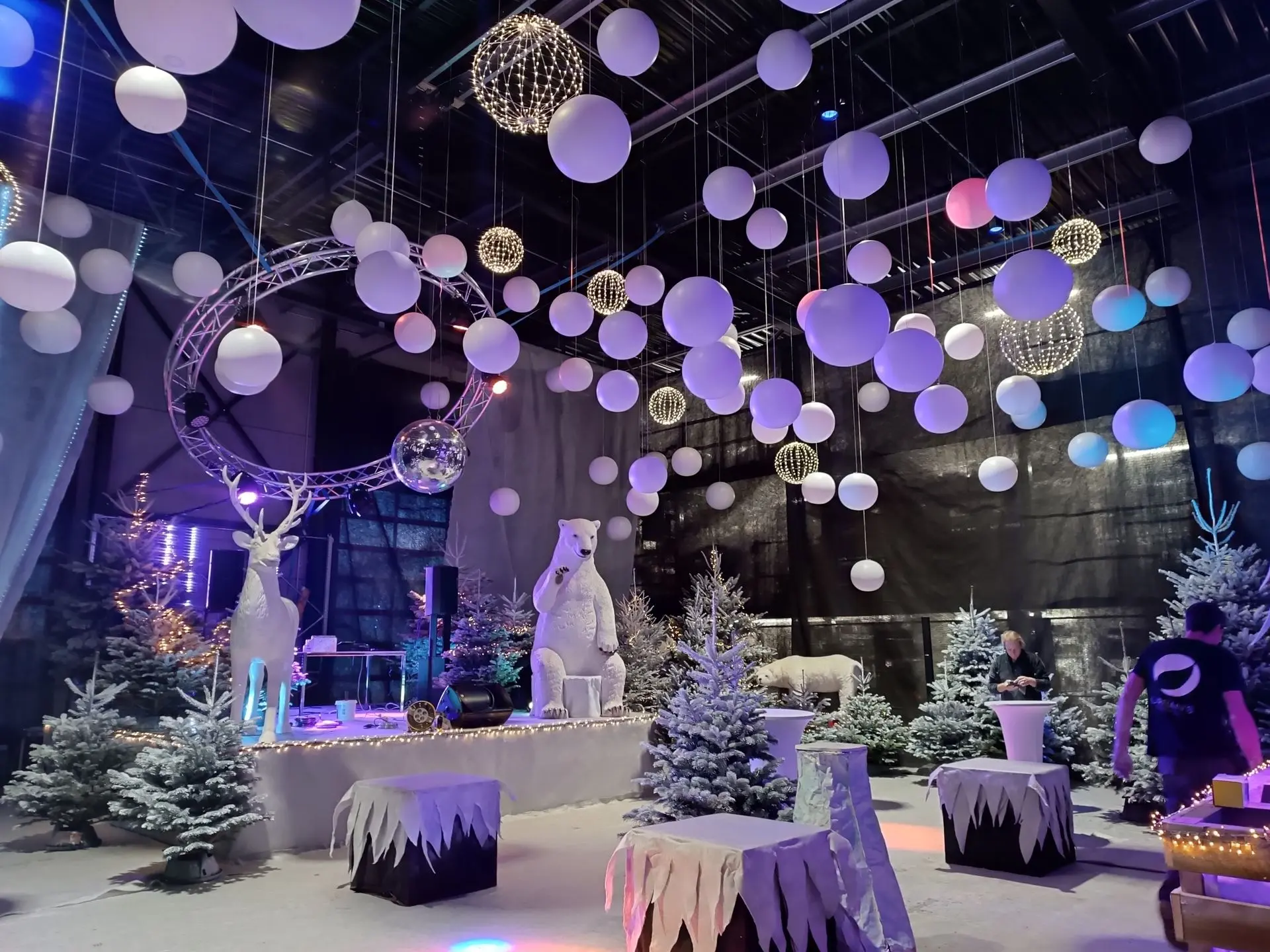 Décors banquise – Location de décoration événementielle​