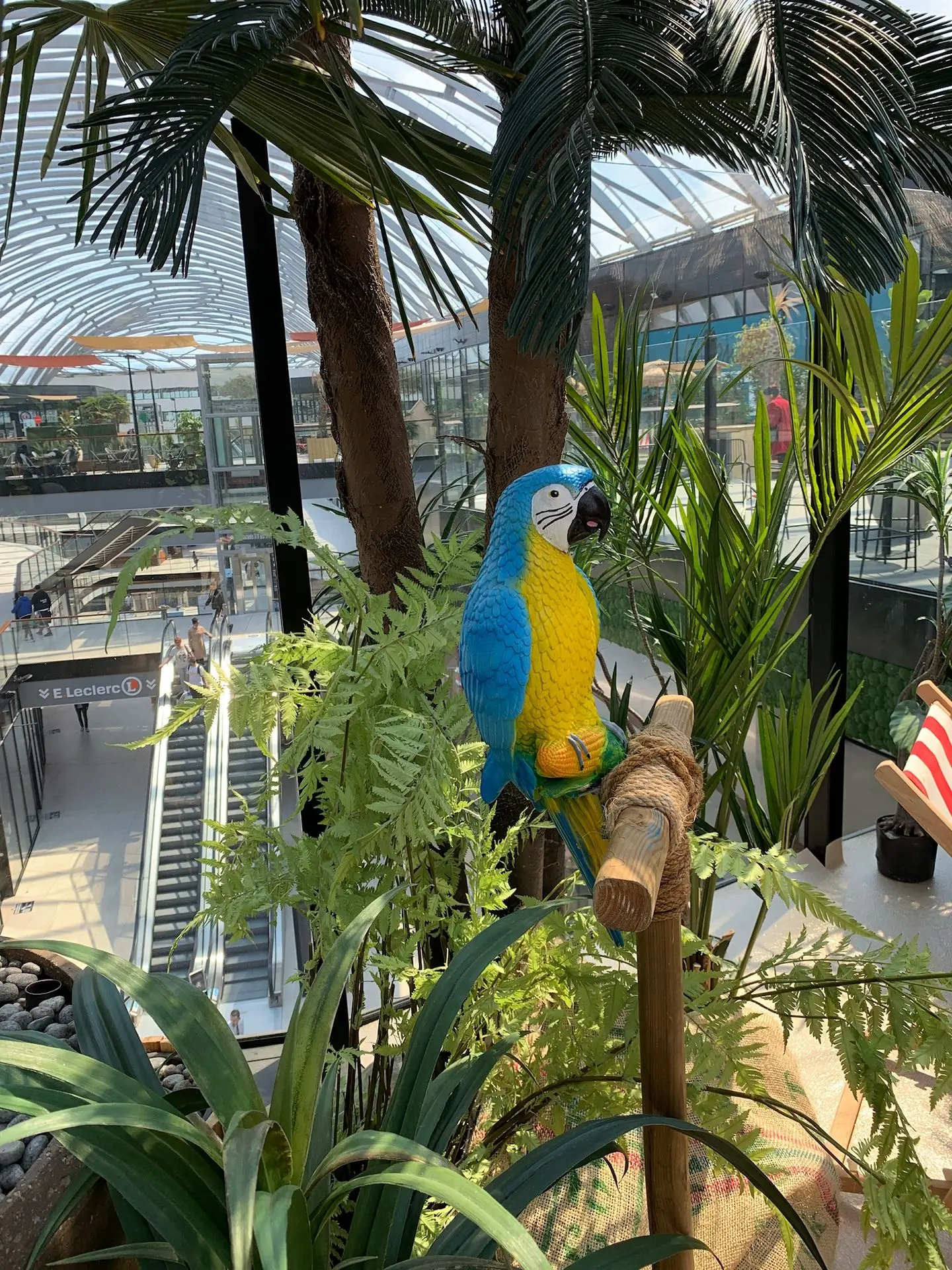 Décors tropiques -Location décoration événementielle Décors tropiques -Location décoration événementielle