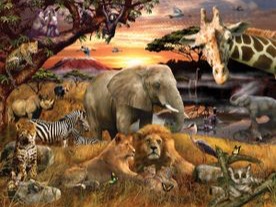 Libérateur d'idées, décoration événementielle - Animaux