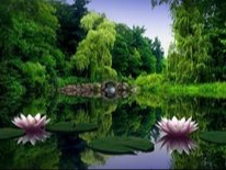 Libérateur d'idées, décoration événementielle - Nature