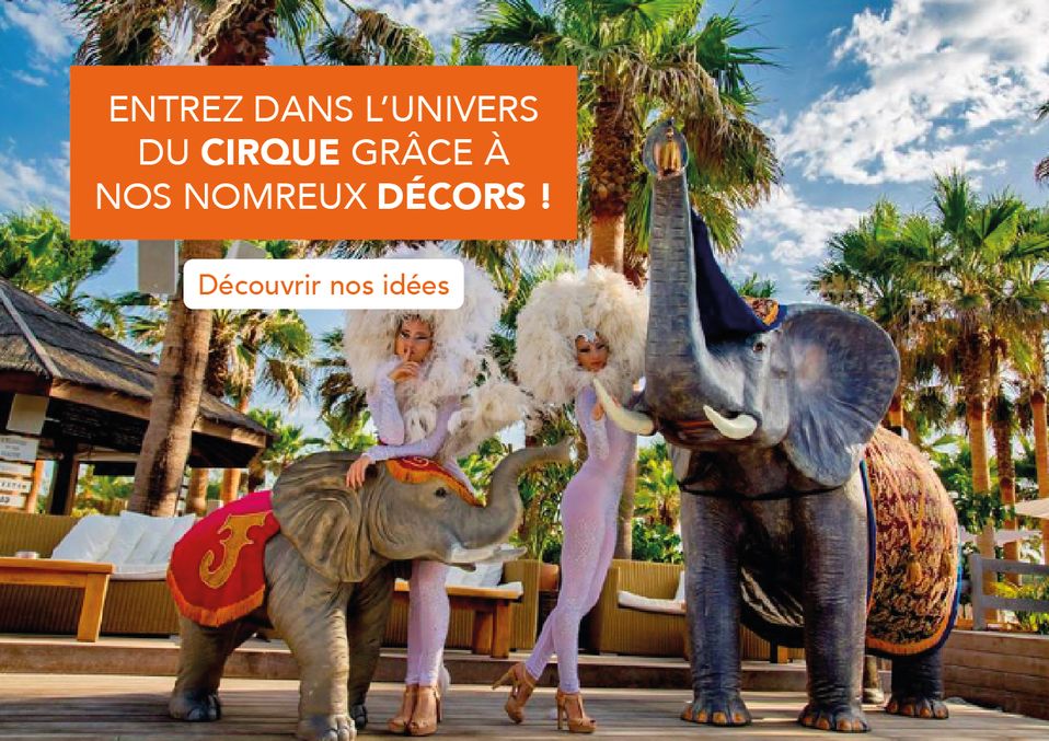 Libérateur d'idées, décoration événementielle : Décoration Cirque