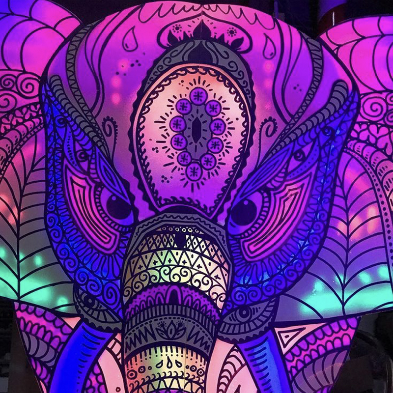 Elephant Fluo