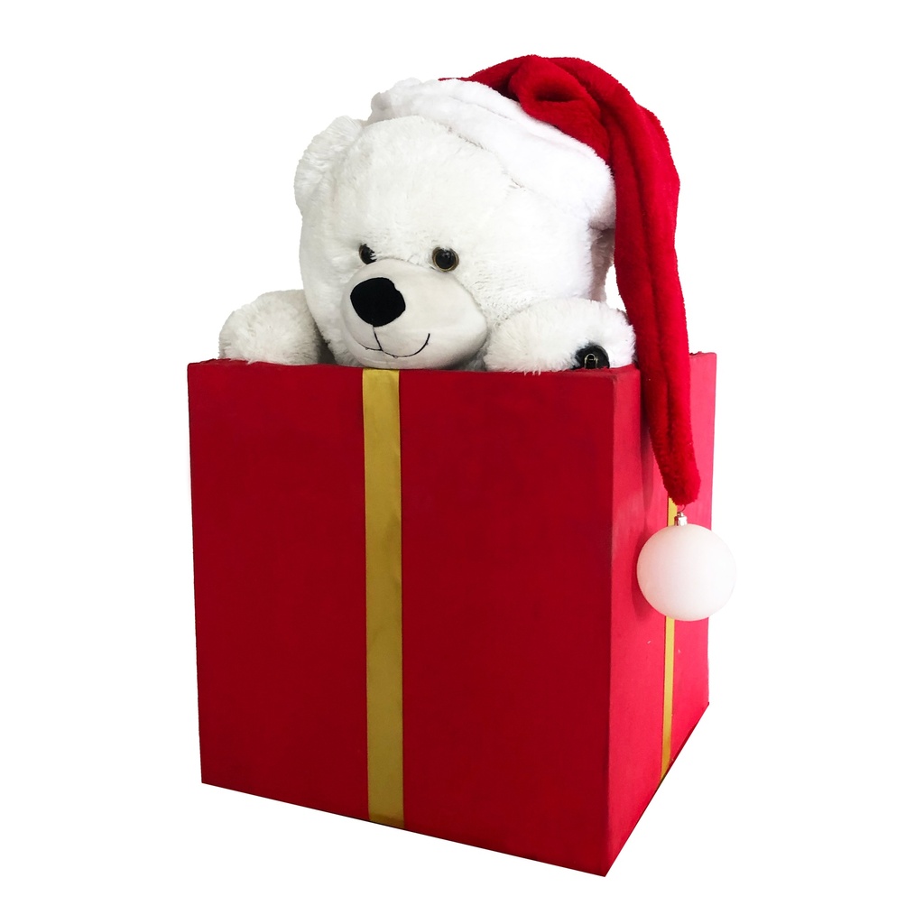 Ourson blanc dans cadeau