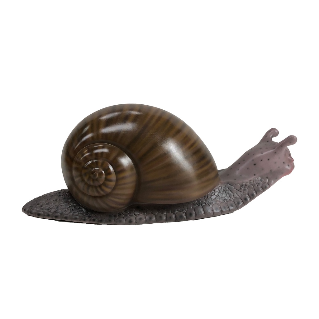 Escargot - 47cm