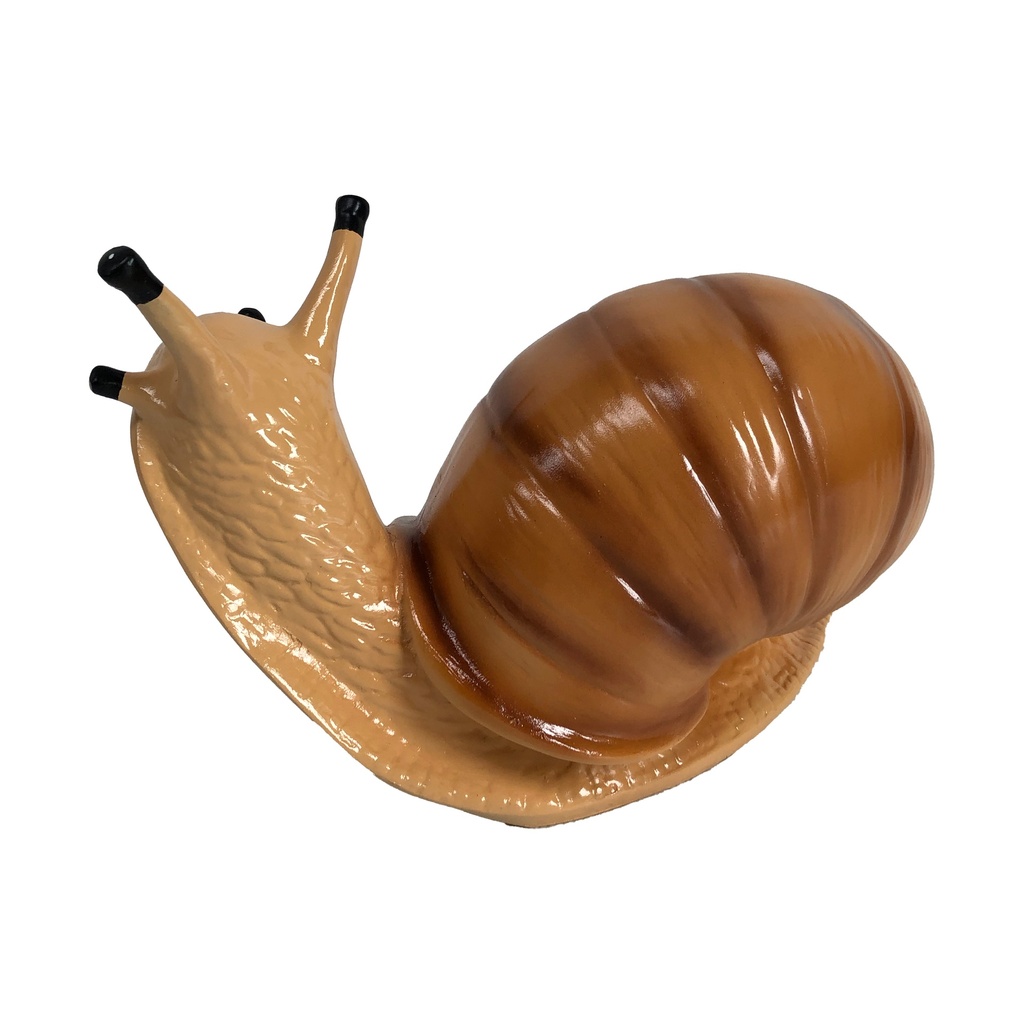 Escargot - 24cm