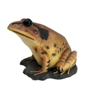 Crapaud - 93cm