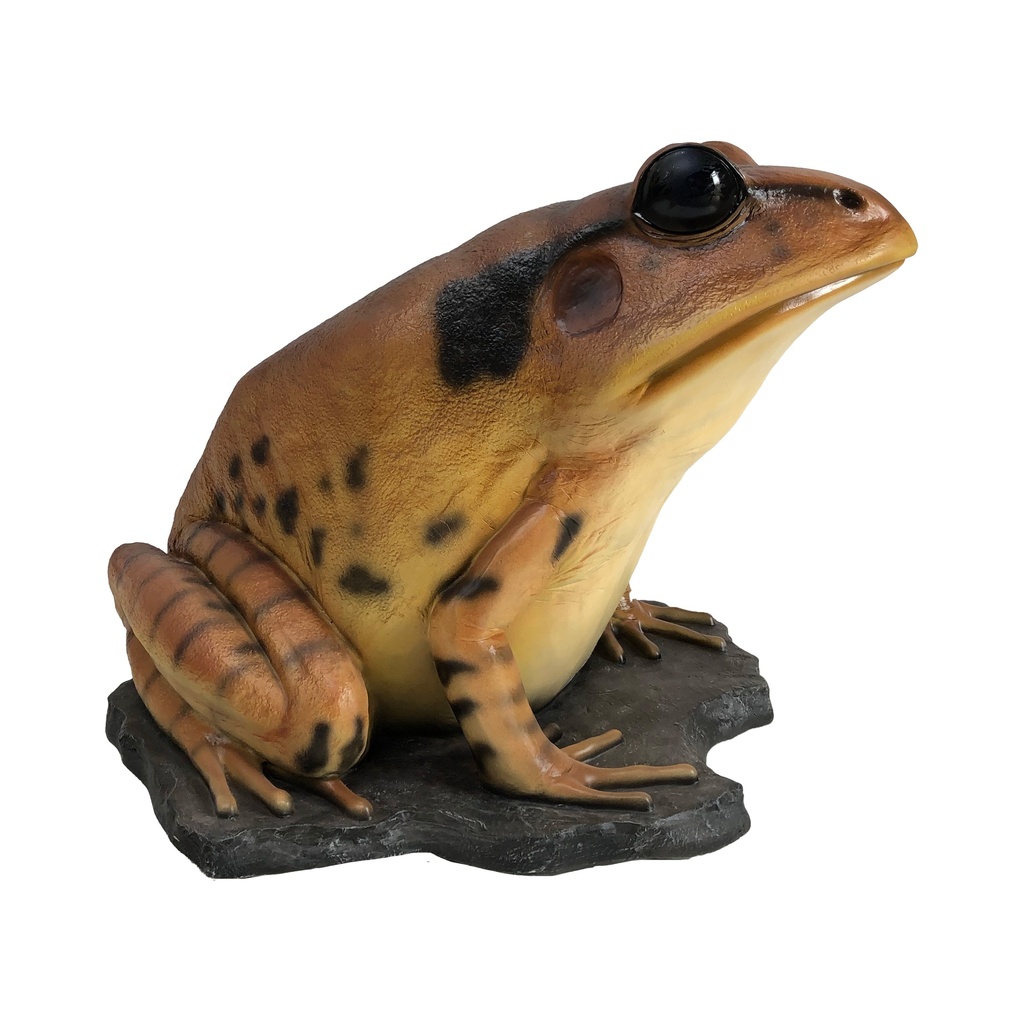 Crapaud - 93cm