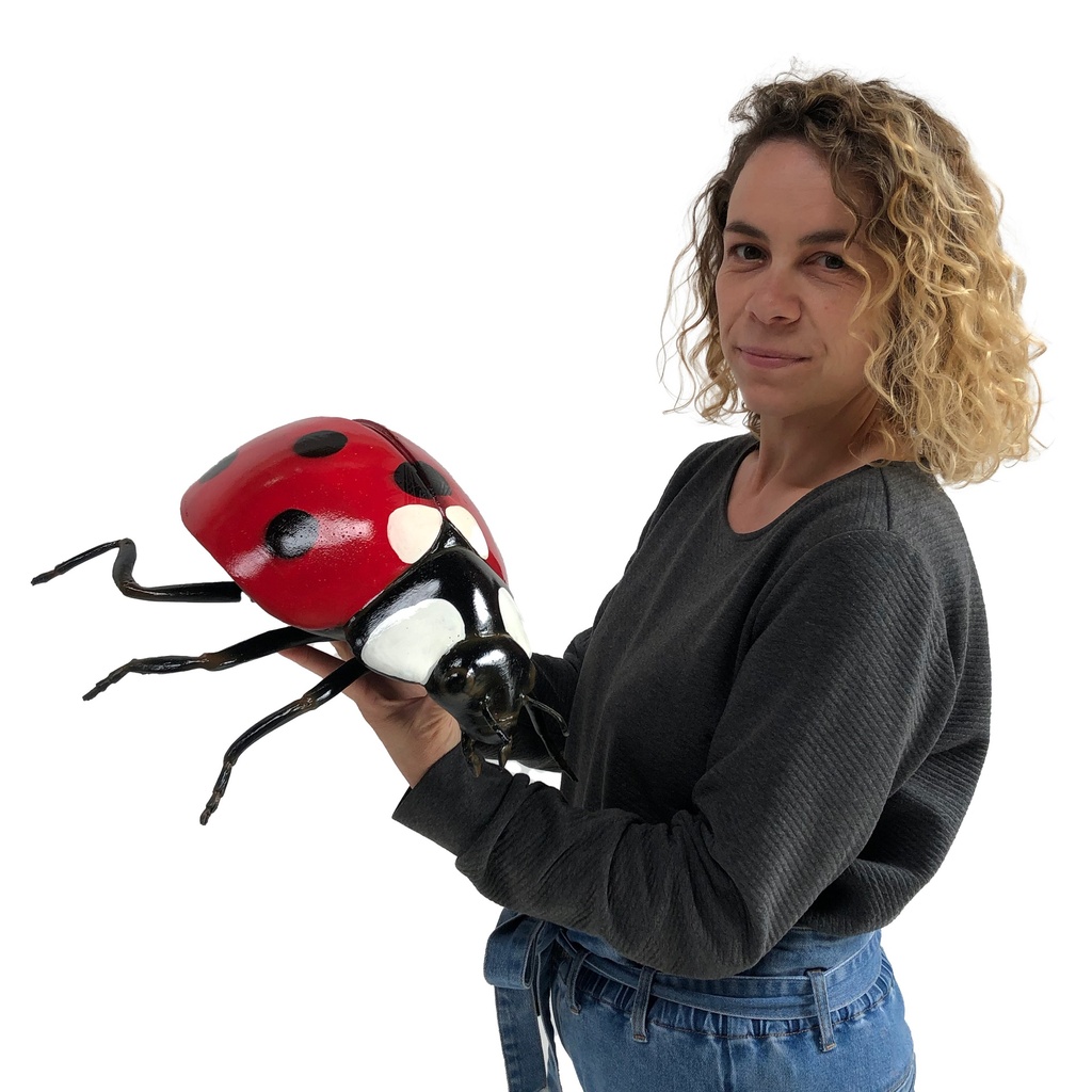 Coccinelle - 47cm