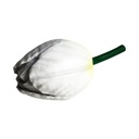 Bouton de tulipe blanc - 40cm
