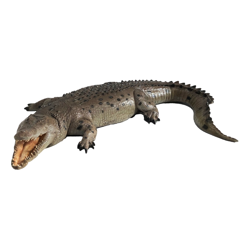 Crocodile XL