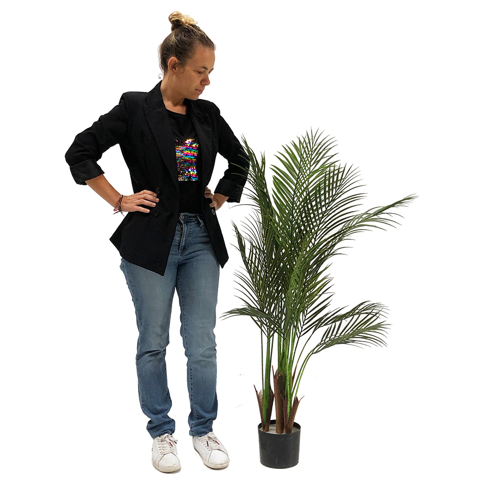 Palmier areca - 125cm