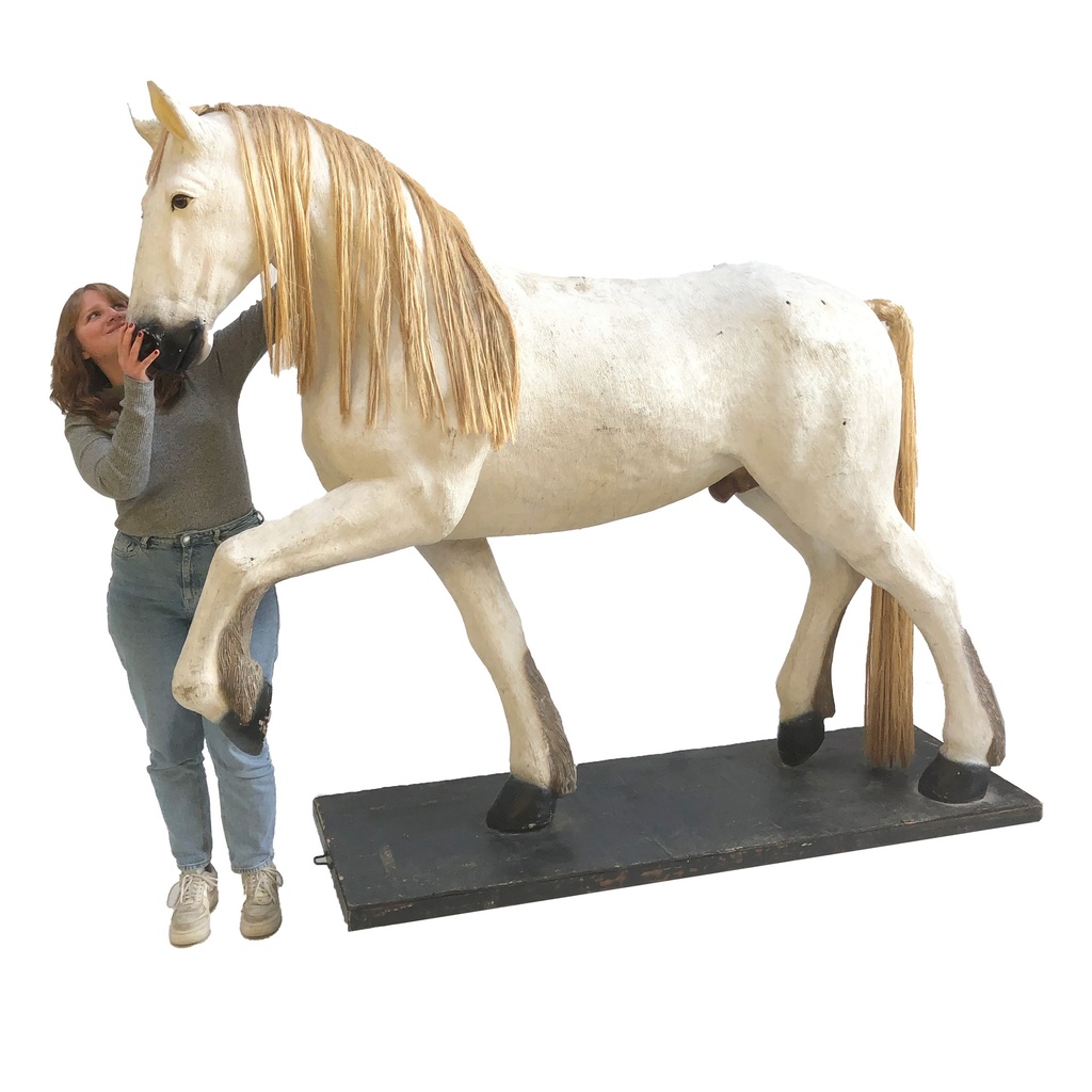 Cheval blanc - 220cm