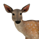 Biche - 80cm