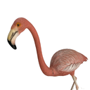 Flamant Rose - 120cm