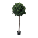 Arbre buis boule - 120/150cm