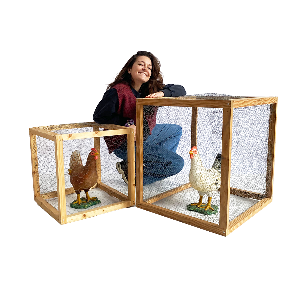 Cage à poules - 70cm