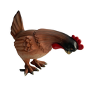 Poule dodue - 50cm