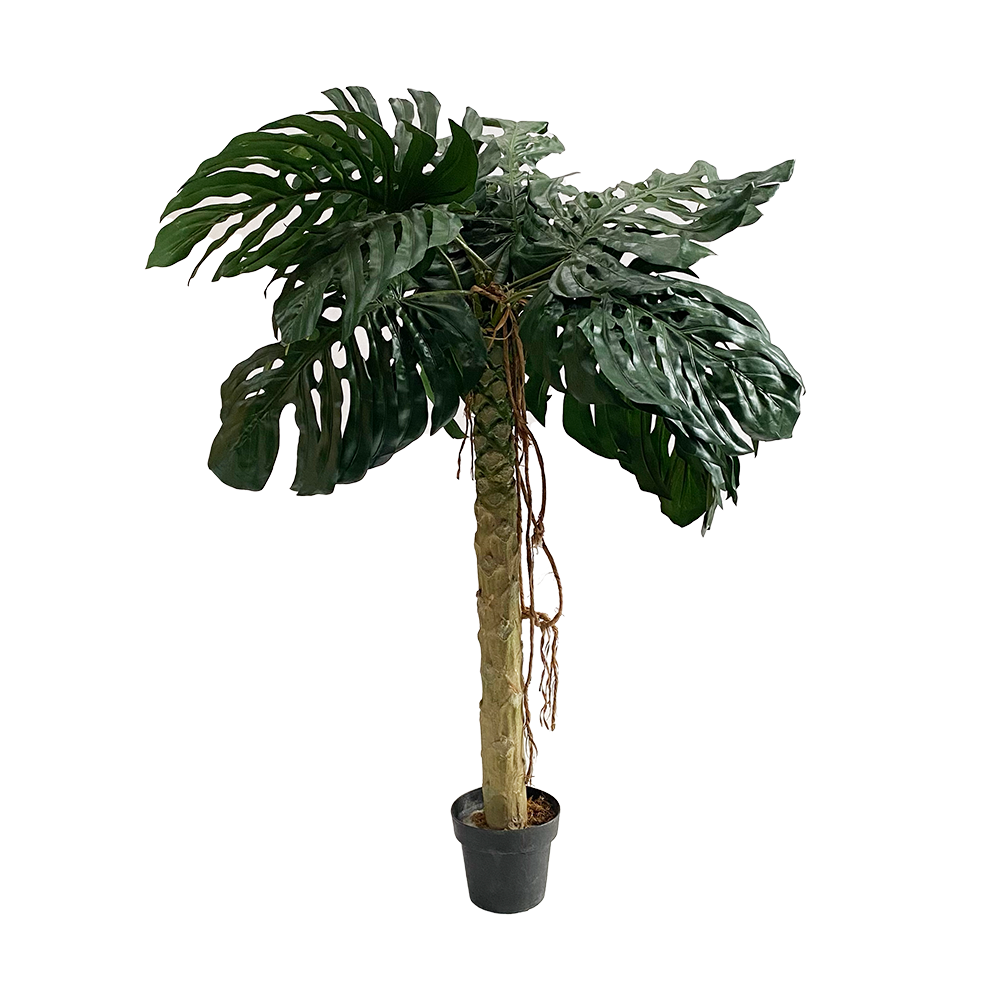 Plante monstera - 180cm