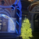 Sucre d'orge gazon lumineux - 270cm