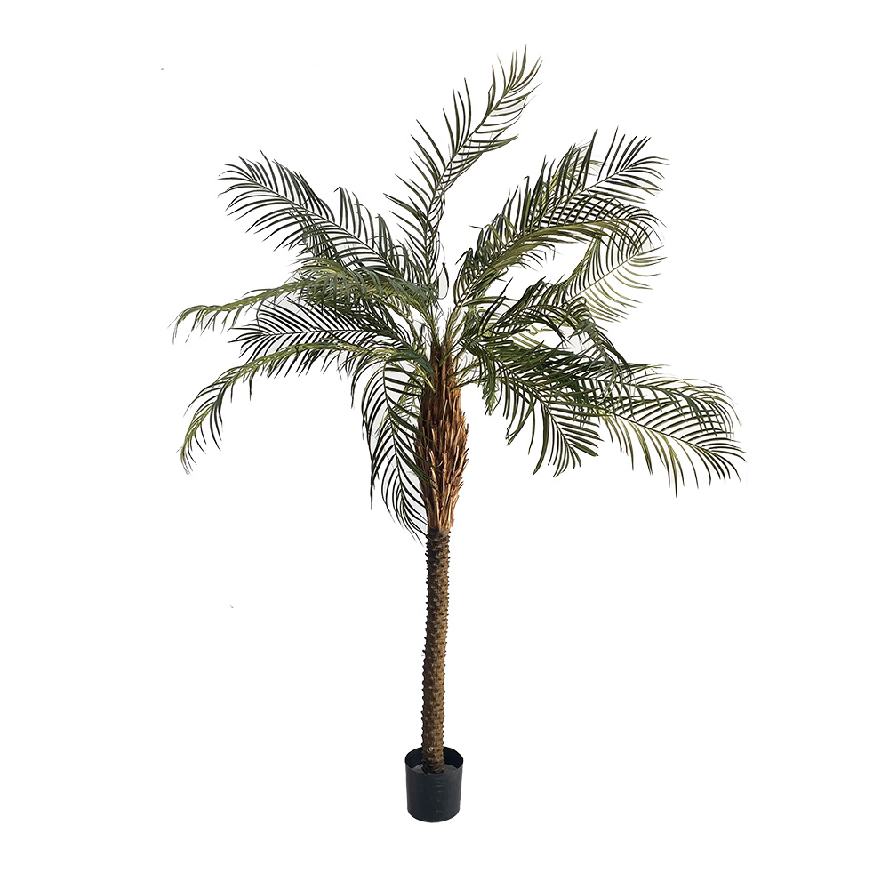 Palmier - 210cm