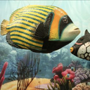 Poisson rayé - 117cm