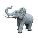 Elephant d'Afrique - 252cm