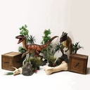 Decopack Dinosaures XL