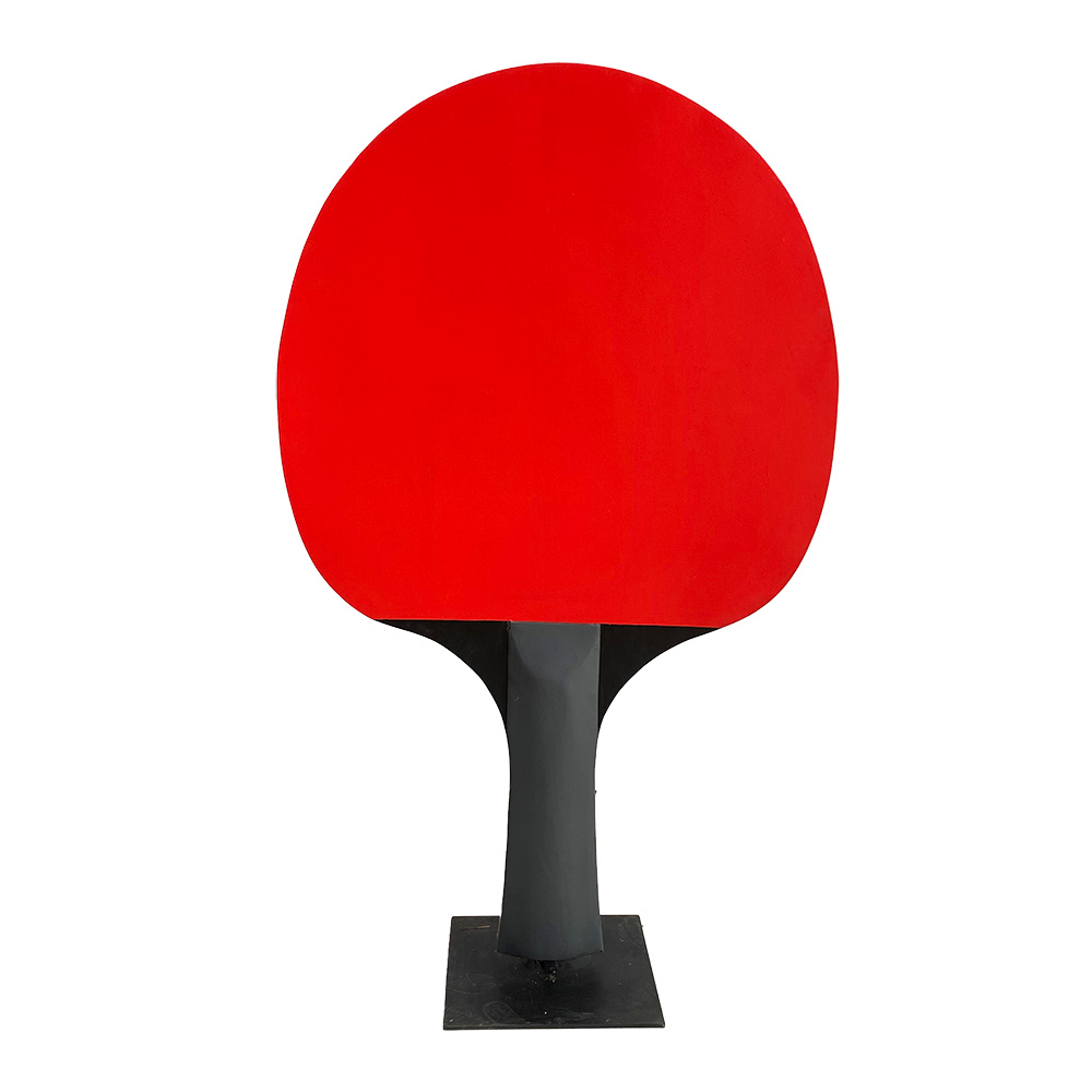Raquette de tennis de table  - 210cm