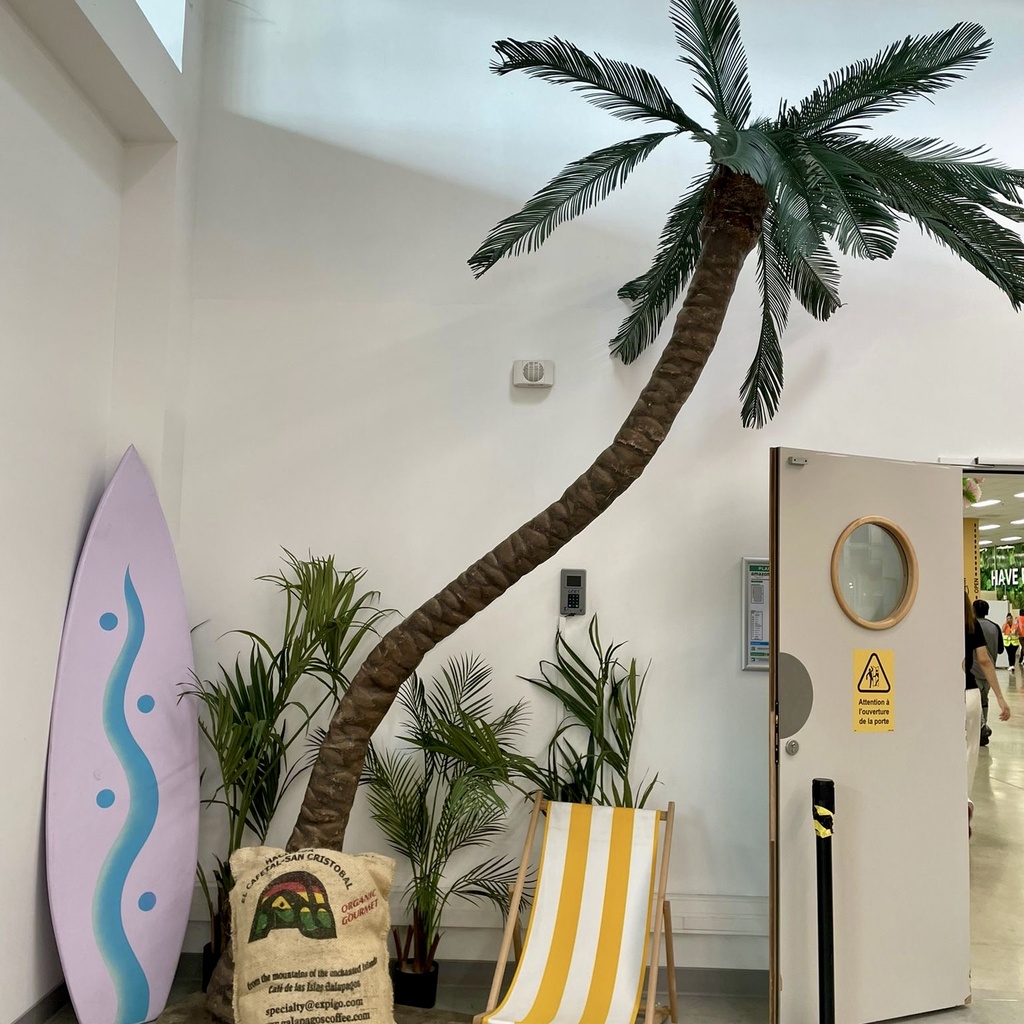 Palmier - 480cm