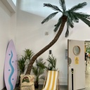 Palmier - 480cm