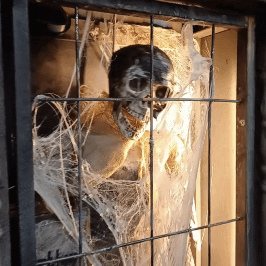 Squelette en mouvement dans tombeau - 200cm