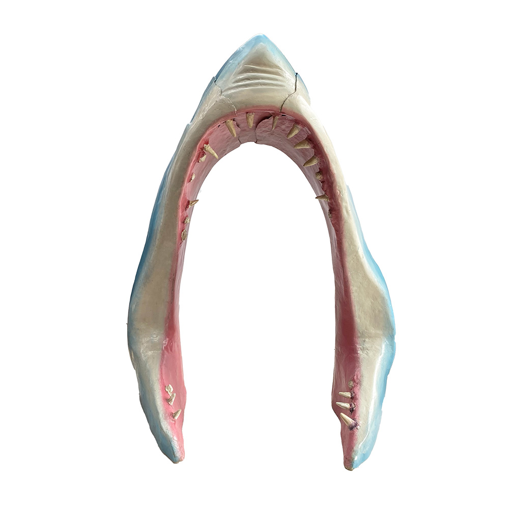Bouche de requin - 235cm