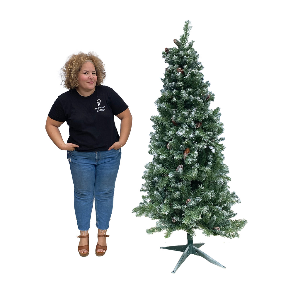 Sapin enneigé - 200 à 220cm