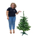 Sapin vert - 120 à 150cm