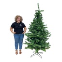 Sapin vert - 200 à 220cm
