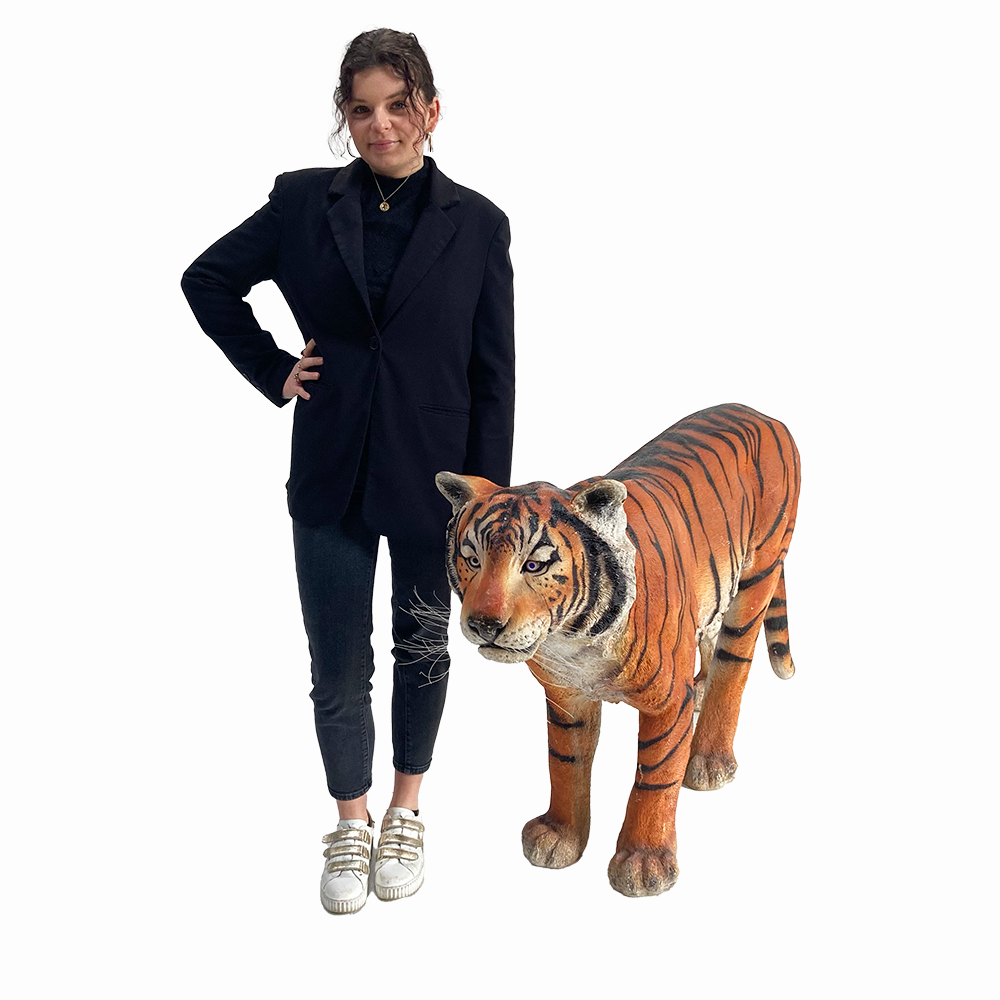 Décopack Jungle XL