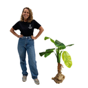 Décopack Jungle XL