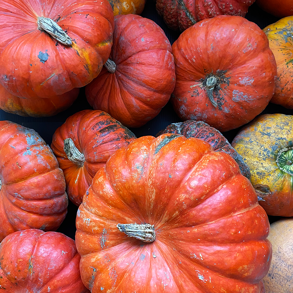 Citrouille naturelle