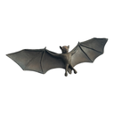 Chauve-souris - 80cm