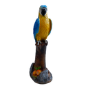 Statue perroquet - 90cm