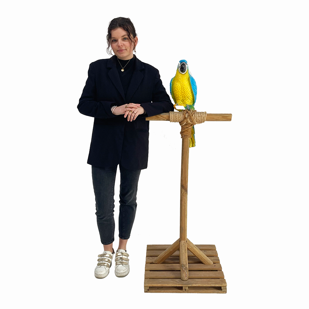 Décopack Tropiques XL