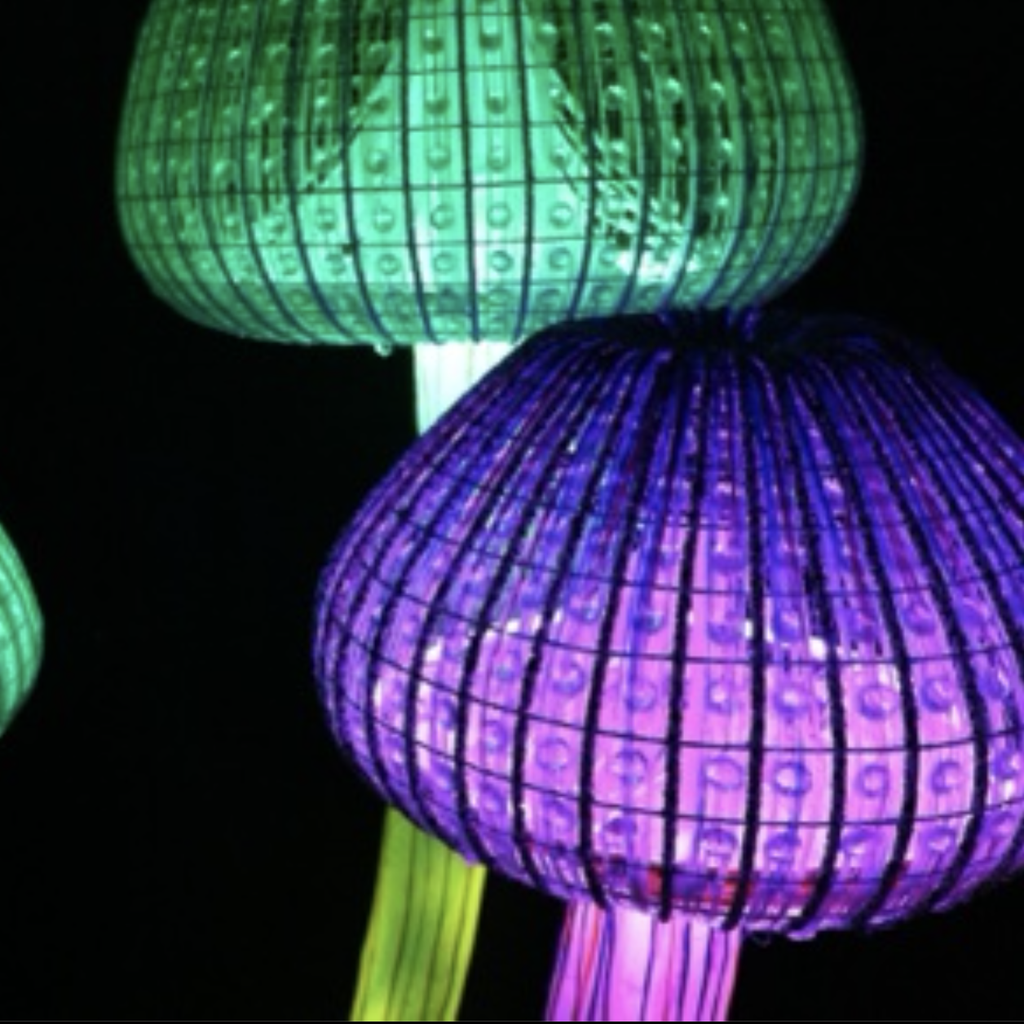 Champignon lumineux - 200cm