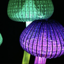 Champignon lumineux - 200cm