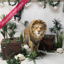 Sweetpack Safari / Jungle