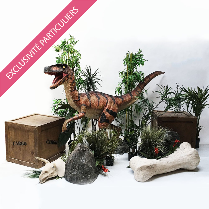 Sweetpack Dinosaure