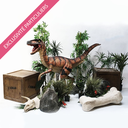 Sweetpack Dinosaure